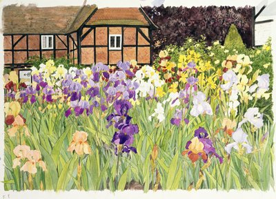 Irises by Linda Benton